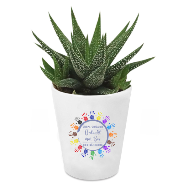 Plantje met gepersonaliseerd potje - Kring handjes